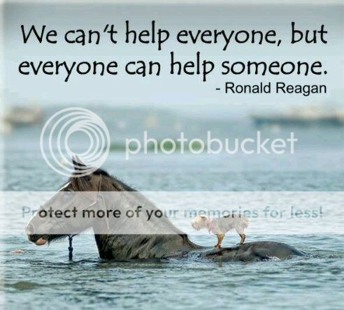 Why you should create a blog - The Witty Whisperer